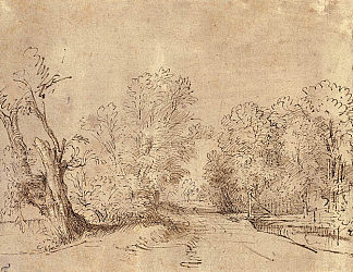 林荫大道 A Wooded Road (1650)，伦勃朗