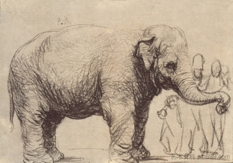 一头大象 An Elephant (1637)，伦勃朗