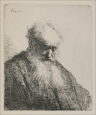 留着胡子的老人 An Old Man with a Beard (1630)，伦勃朗