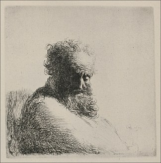 留着大胡子的老人的半身像 Bust of an Old Man with a Large Beard (1631)，伦勃朗