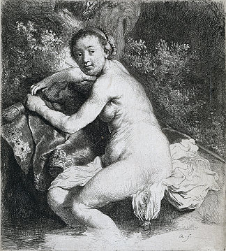 戴安娜在洗澡 Diana at the bath (1631)，伦勃朗