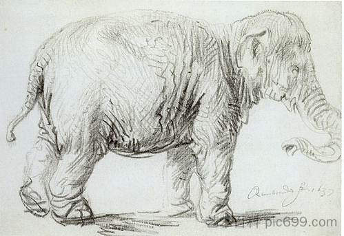 大象汉斯肯 Hansken the Elephant (1637)，伦勃朗