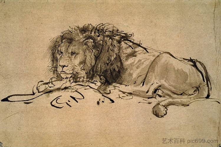 狮子休息 Lion Resting (1650 - 1652)，伦勃朗