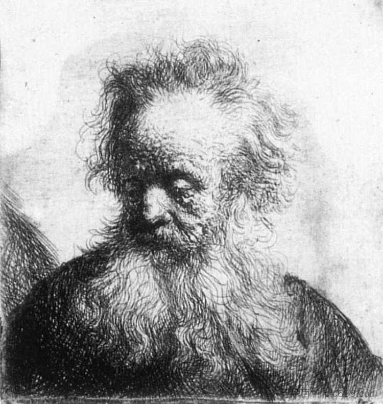 留着飘逸胡须的老人,向左看 Old Man with Flowing Beard, Looking down Left (1631),伦勃朗