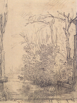 沟渠中悬垂的灌木丛 Overhanging bushes in a ditch (c.1640)，伦勃朗