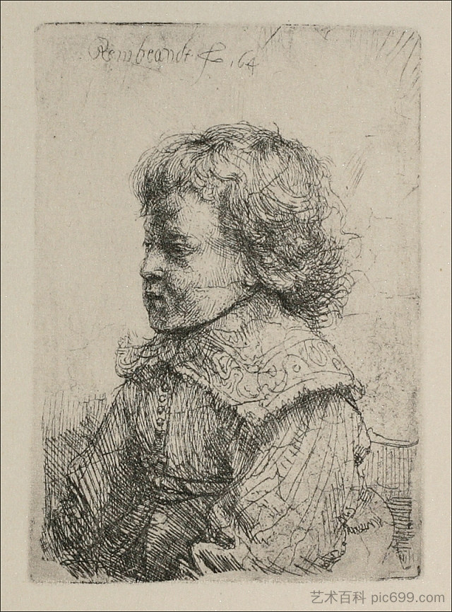 一个男孩的肖像 Portrait of a Boy (1641)，伦勃朗