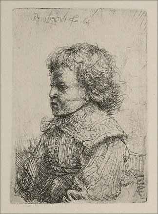 一个男孩的肖像 Portrait of a Boy (1641)，伦勃朗