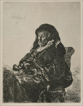 伦勃朗的母亲穿着寡妇的衣服 Rembrandt`s Mother in a Widow`s Dress (1632)，伦勃朗