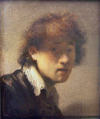 早年的自画像 Self-portrait at an early age (1629)，伦勃朗