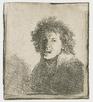 自画像张嘴 Self-portrait open mouthed (1630)，伦勃朗