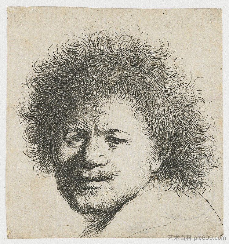 浓密长发的自画像 Self-portrait with long bushy hair (1631),伦勃朗