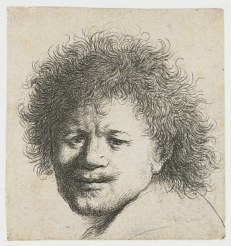 浓密长发的自画像 Self-portrait with long bushy hair (1631)，伦勃朗