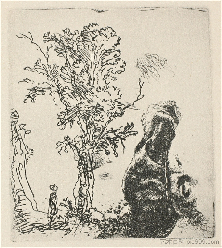 一棵树的草图 Sketch of a Tree (1638)，伦勃朗