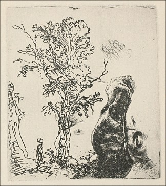 一棵树的草图 Sketch of a Tree (1638)，伦勃朗