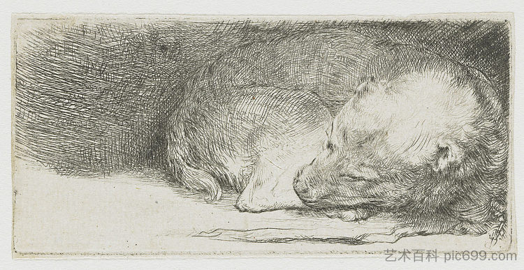 睡觉的小狗 Sleeping puppy (1640)，伦勃朗