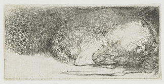 睡觉的小狗 Sleeping puppy (1640)，伦勃朗