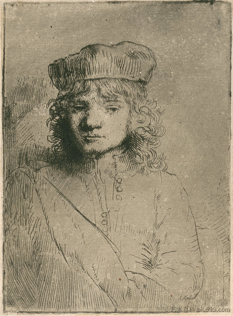 画家的儿子提图斯 The artist`s son Titus (1656),伦勃朗