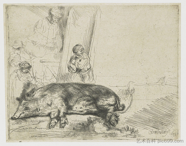 的猪 The hog (1643),伦勃朗
