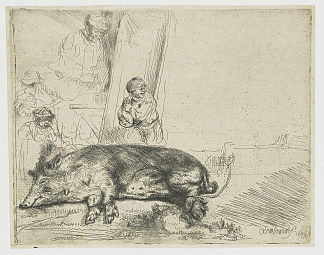 的猪 The hog (1643)，伦勃朗