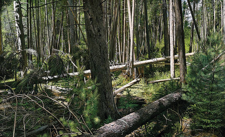 靠近猎人海滩，阿卡迪亚国家公园 near Hunters Beach, Acadia National Park (2008; United States  )，理查德·埃斯特斯