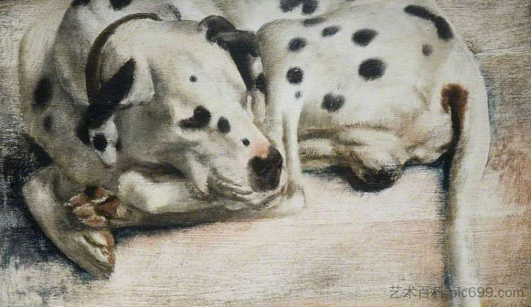 “格罗克”，斑点狗 'Grock', a Dalmatian Dog (1943)，理查德·尤里奇