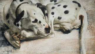 “格罗克”，斑点狗 ‘Grock’, a Dalmatian Dog (1943)，理查德·尤里奇