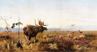 公牛驼鹿 Bull Moose，理查德德弗里泽