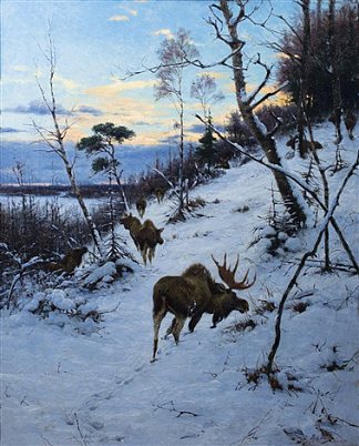 冬季景观中的驼鹿 Moose in a Winter Landscape (1895)，理查德德弗里泽
