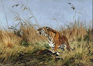 老虎 The Tiger (1890)，理查德德弗里泽