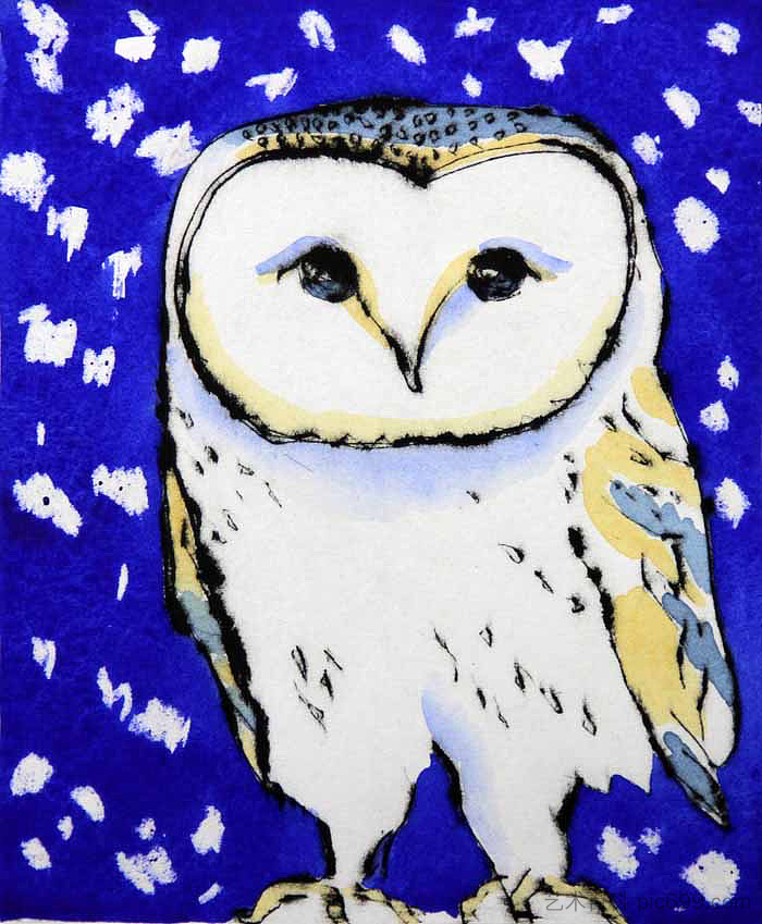 雪鸮 Snowy Owl (2015; United Kingdom  )，理查德·斯帕特