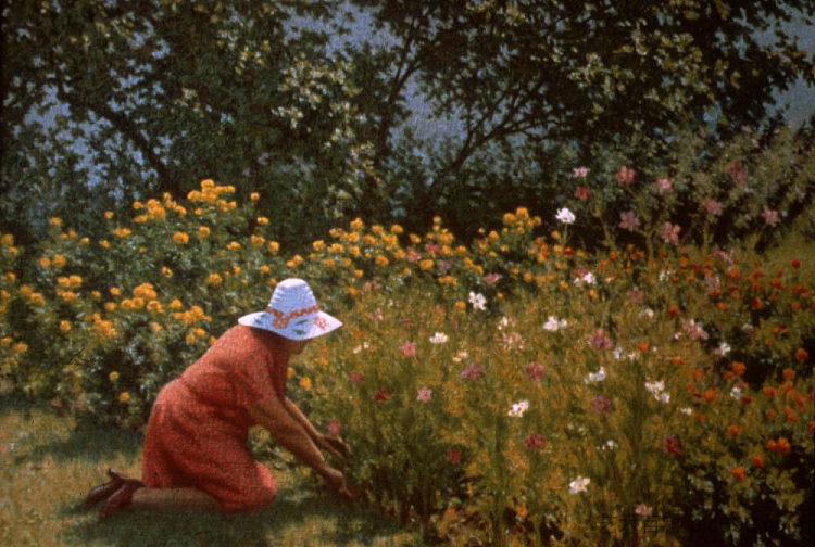 采摘鲜花 Gathering Flowers，理查德德·惠特尼