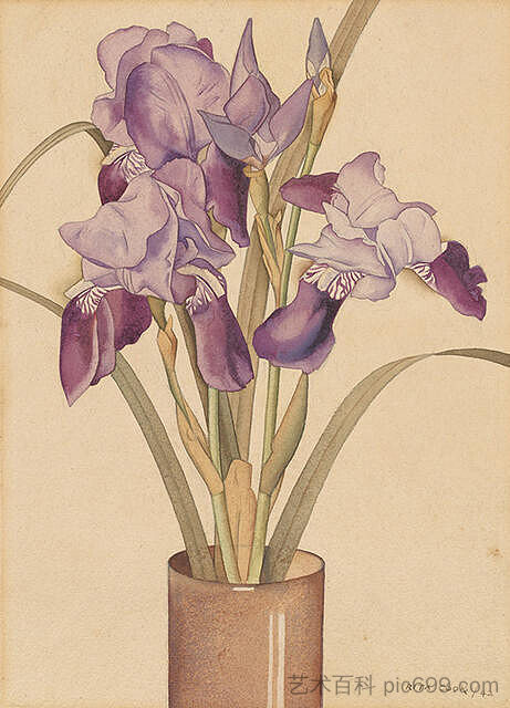 虹膜 Irises (1942)，丽塔·安格斯