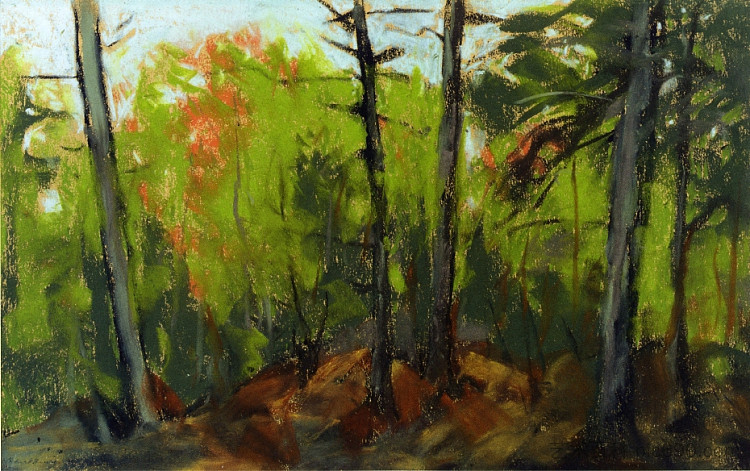 林地场景,缅因州蒙希根 Woodland Scene, Monhegan, Maine (1918),罗伯特·亨利