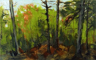 林地场景，缅因州蒙希根 Woodland Scene, Monhegan, Maine (1918)，罗伯特·亨利