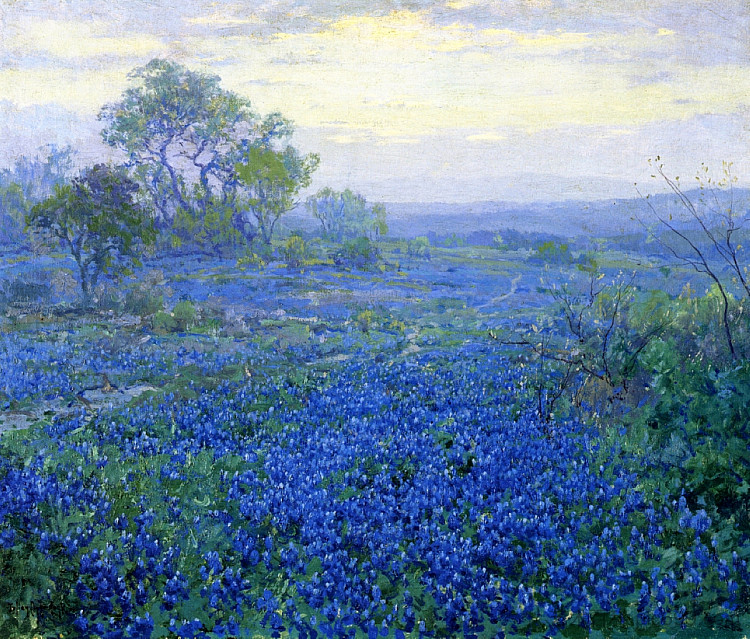 多云天，德克萨斯州圣安东尼奥附近的蓝帽 A Cloudy Day, Bluebonnets near San Antonio, Texas (1918)，罗伯特·朱利安