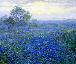 多云天，德克萨斯州圣安东尼奥附近的蓝帽 A Cloudy Day, Bluebonnets near San Antonio, Texas (1918)，罗伯特·朱利安