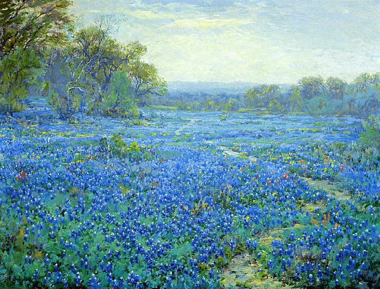 蓝帽场景 Bluebonnet Scene，罗伯特·朱利安