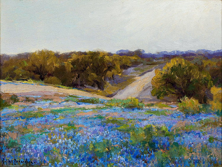 傍晚的蓝帽 Bluebonnets at Late Afternoon，罗伯特·朱利安