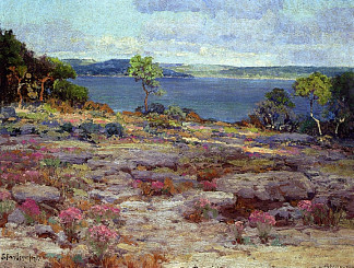 盛开的山粉红，德克萨斯州西南部麦地那湖 Mountain Pinks in Bloom, Medina Lake, Southwest Texas (1921)，罗伯特·朱利安