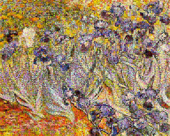 虹膜 Irises (2001)，罗伯特·西尔弗斯