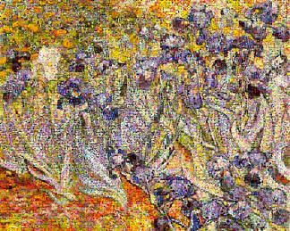 虹膜 Irises (2001)，罗伯特·西尔弗斯