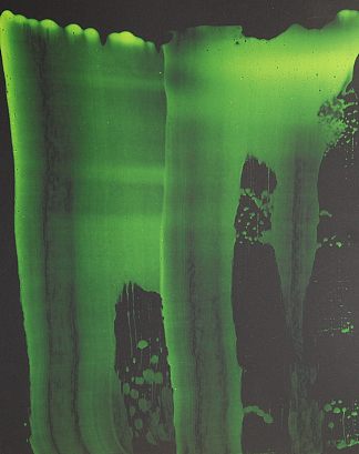 《发呆》2016 “Daze”   2016 (2016; Los Angeles,California,United States                     )，罗杰维克