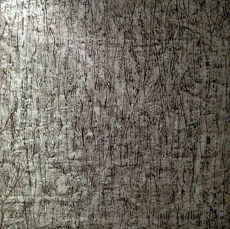 灰色 Grau (2003; Los Angeles,United States ),罗杰维克