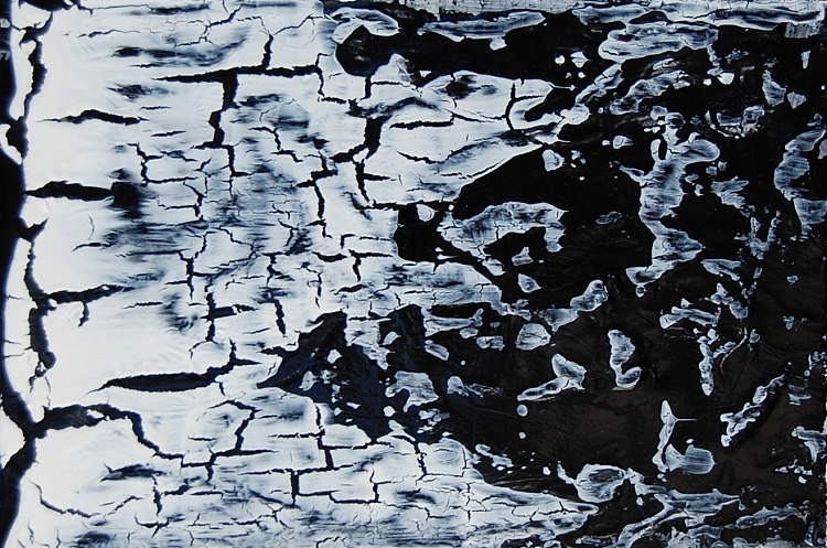 编号 162 Number 162 (2013; Los Angeles,United States ),罗杰维克