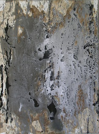 SB-2 SB-2 (2009; Los Angeles,United States                     )，罗杰维克