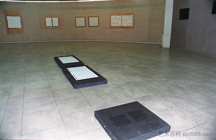 安装视图 Installation View，罗曼科托曼