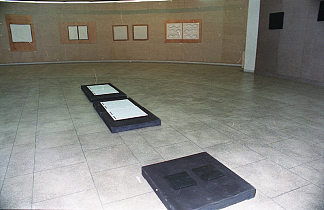 安装视图 Installation View，罗曼科托曼