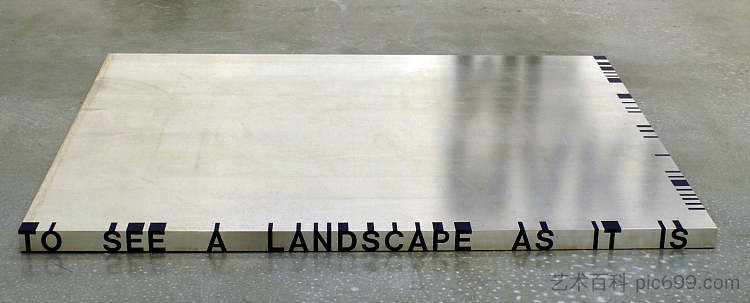 1号灌木丛 Thicket No. 1 (1989 - 1990),罗尼·霍恩