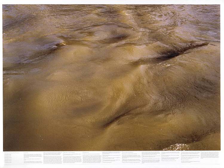 无题（出自《静水》（例如泰晤士河）系列） Untitled (from the series Still Water (The River Thames, for Example)) (1999)，罗尼·霍恩