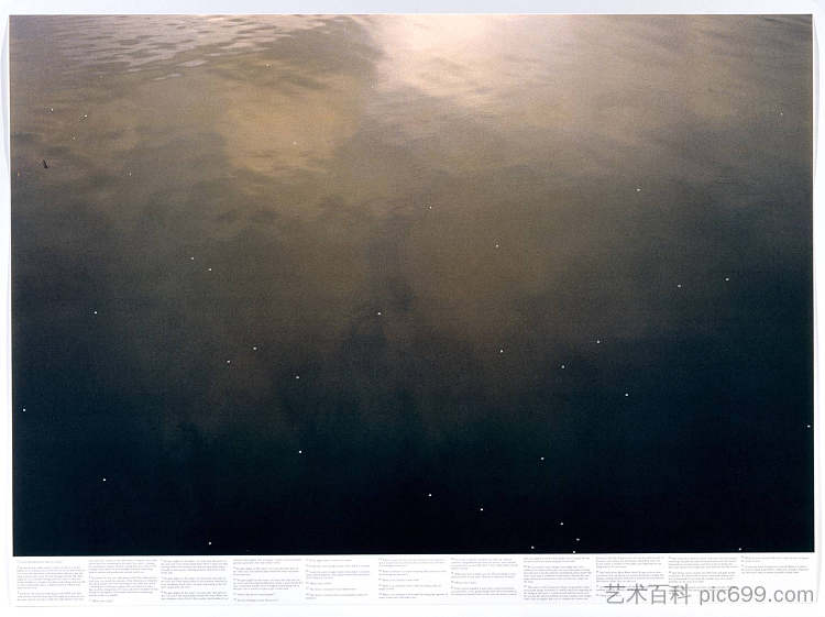 无题(出自《静水》(例如泰晤士河)系列) Untitled (from the series Still Water (The River Thames, for Example)) (1999),罗尼·霍恩